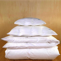 Sengetj Silverstripe